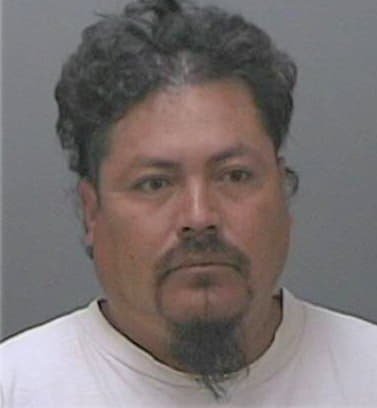 Rico-Rios Rogelio - Hays County, TX 