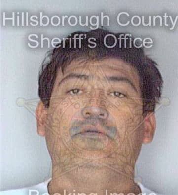 Silva Servando - Hillsborough County, FL 