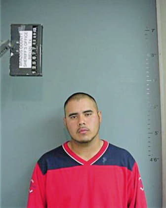 Castillo David - Brazos County, TX 