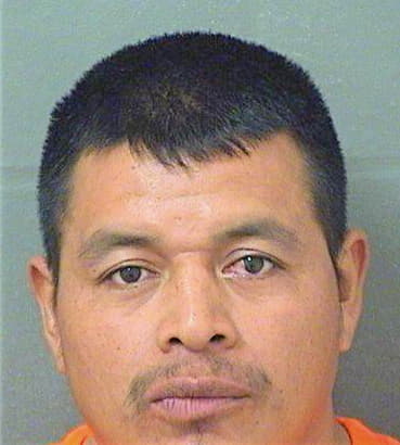 Moralesgutierrez Edwin - PalmBeach County, FL 