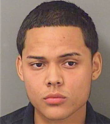 Delgado Erick - PalmBeach County, FL 