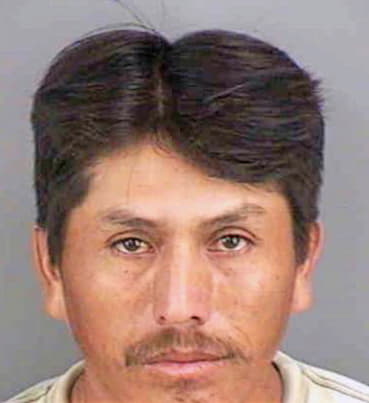 Hernandez Francisco - Collier County, FL 