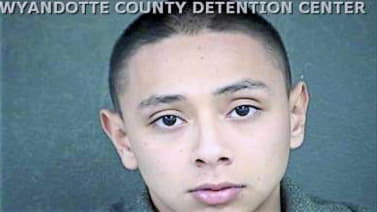 Mcgriff Gabriel - Wyandotte County, KS 