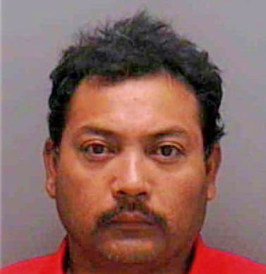 Roman Ignacio - Lee County, FL 