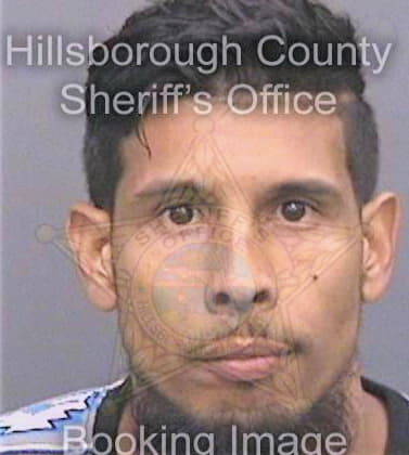 Camargo Leonardo - Hillsborough County, FL 