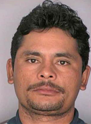 Juarez Luis - Hillsborough County, FL 