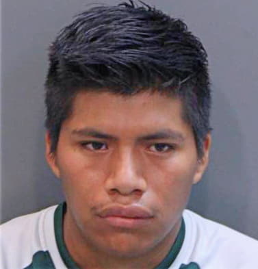 Reynoso Misaea - Hamilton County, TN 