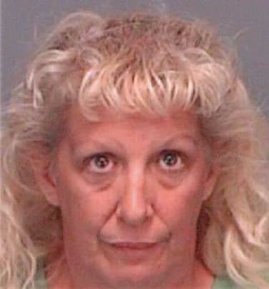 Letizio Andrea - Pinellas County, FL 