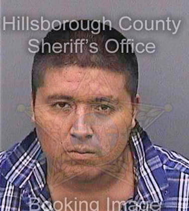 Eli Cesar - Hillsborough County, FL 