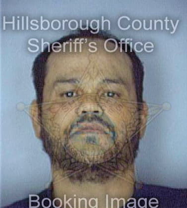Gonzalez George - Hillsborough County, FL 
