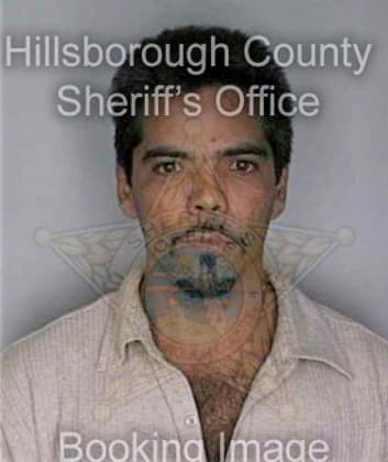 Sanchez Julio - Hillsborough County, FL 