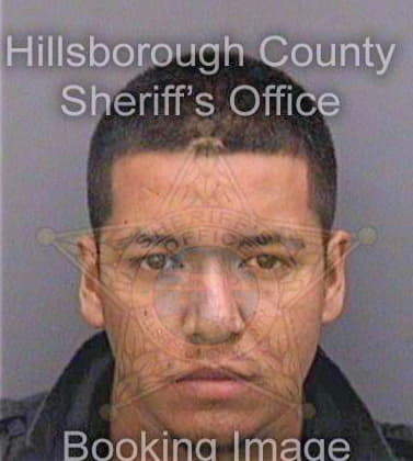 Ramirez Salvador - Hillsborough County, FL 