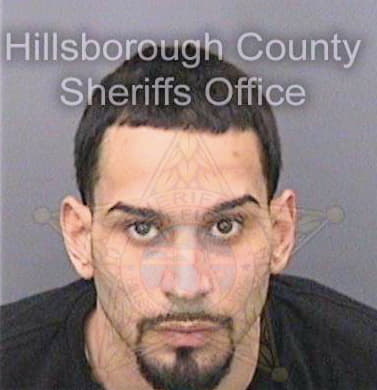 Morales Xavier - Hillsborough County, FL 