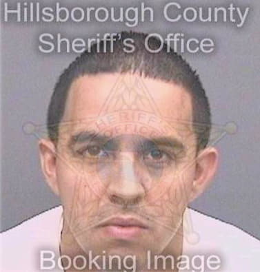 Rodriguezocasio Omar - Hillsborough County, FL 