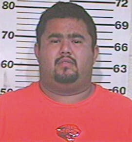 Venegas Lee - Hidalgo County, TX 