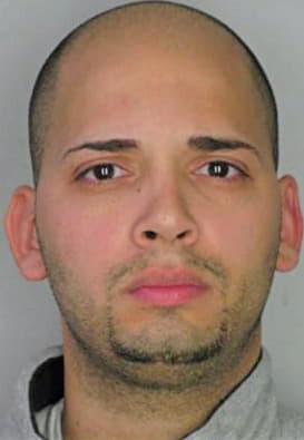 Aponte David - Hillsborough County, FL 