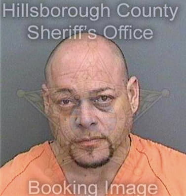 Figueroa John - Hillsborough County, FL 