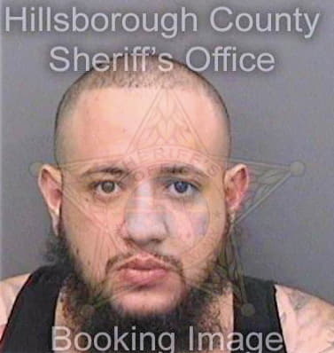 Custodio Kevin - Hillsborough County, FL 