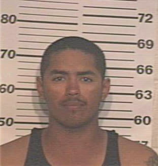 Castillo Oscar - Hidalgo County, TX 