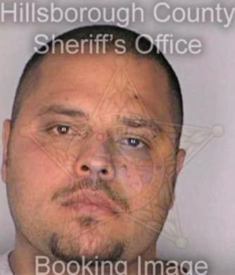 Guiterrez Brian - Hillsborough County, FL 