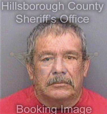Gonzales David - Hillsborough County, FL 