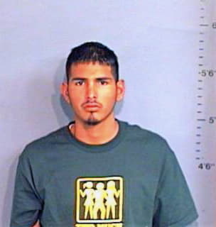 Llanas Raul - Brazos County, TX 