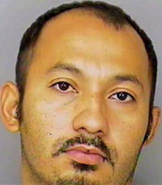 Solis Riquelmy - Polk County, FL 