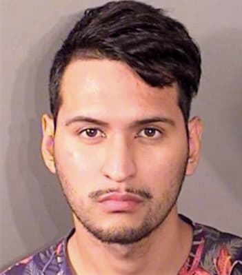Armendariz-Flores Edgar - Denton County, TX 