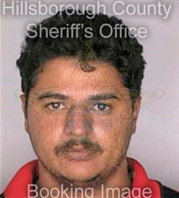 Sevilla Rasiel - Hillsborough County, FL 