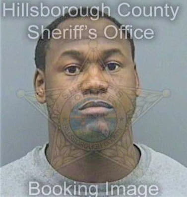 Silhomme Alex - Hillsborough County, FL 