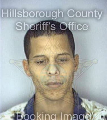 Ortiz Carlos - Hillsborough County, FL 
