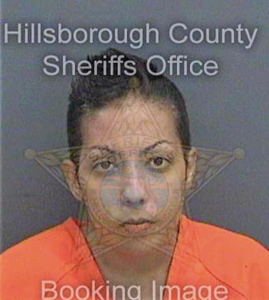 Adderley Cheyenne - Hillsborough County, FL 