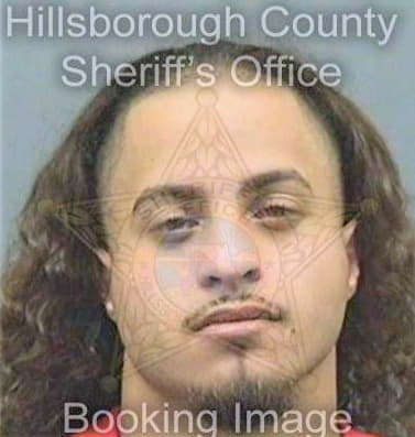 Sierragonzalez Edgard - Hillsborough County, FL 