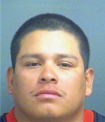 Bravosoto Edilser - PalmBeach County, FL 