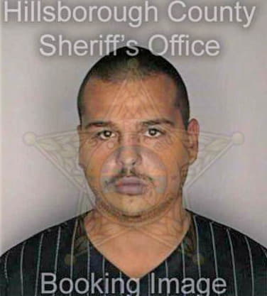Fortier Anthony - Hillsborough County, FL 