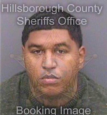 Valentin David - Hillsborough County, FL 