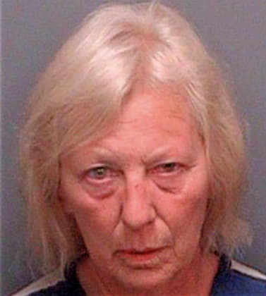 Tousey Linda - Pinellas County, FL 