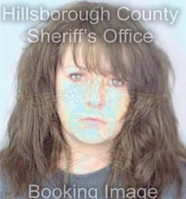 Anton Sky - Hillsborough County, FL 