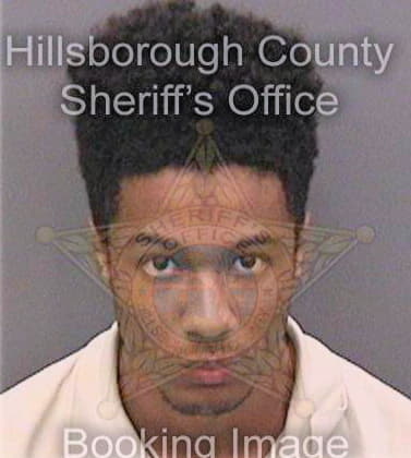 Pedrozaquintero Jorge - Hillsborough County, FL 