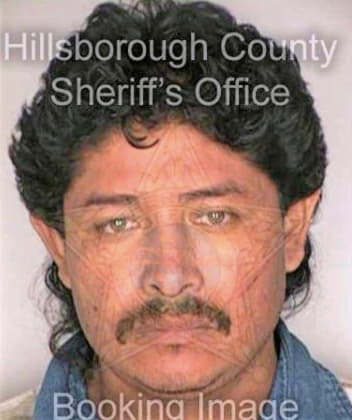 Diaz Juan - Hillsborough County, FL 