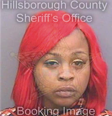 Wilson Kiara - Hillsborough County, FL 