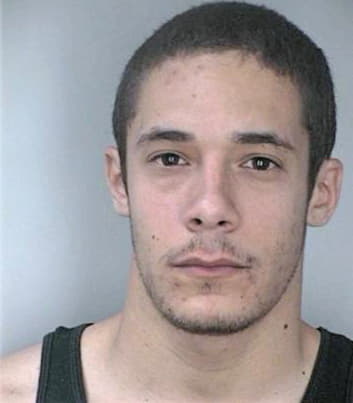 Negron Robert - Hillsborough County, FL 