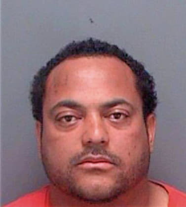 Ortega Victor - Pinellas County, FL 