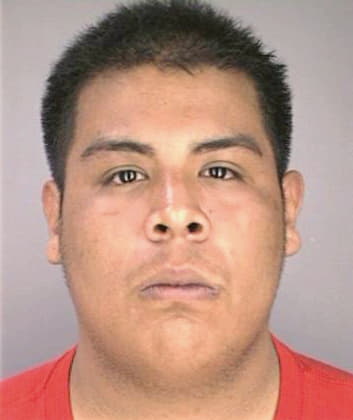 Mata Adrian - Hillsborough County, FL 
