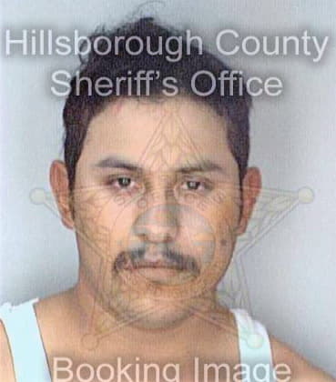 Buenoiharra Jose - Hillsborough County, FL 