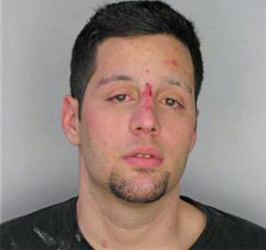 Hernandez Ryan - Hillsborough County, FL 