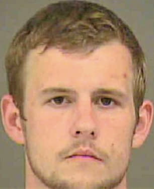 Liewald Ryan - Mecklenburg County, NC 