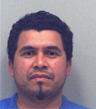 Salinas Amilcar - Gwinnett County, GA 