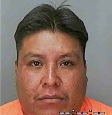 Tomas Mario - Polk County, FL 