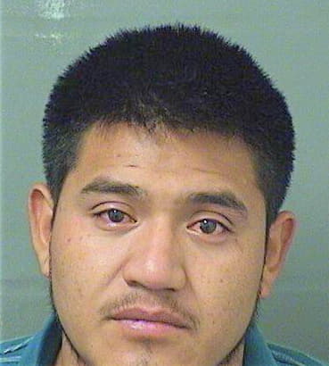 Hernandez Perez - PalmBeach County, FL 